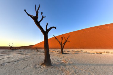 Ölü Vlei, Namibya