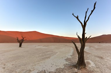 Ölü Vlei, Namibya