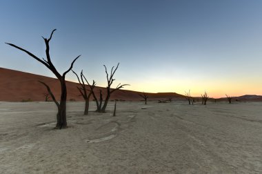 Ölü Vlei, Namibya