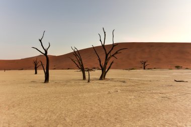 Ölü Vlei, Namibya