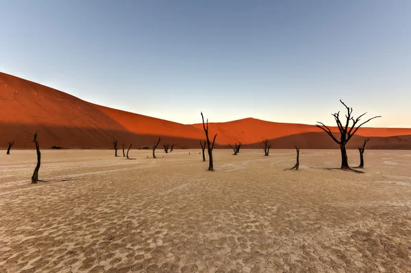 Ölü Vlei, Namibya