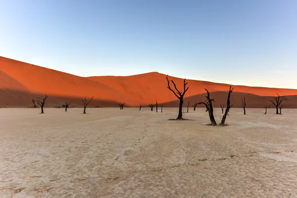 Ölü Vlei, Namibya