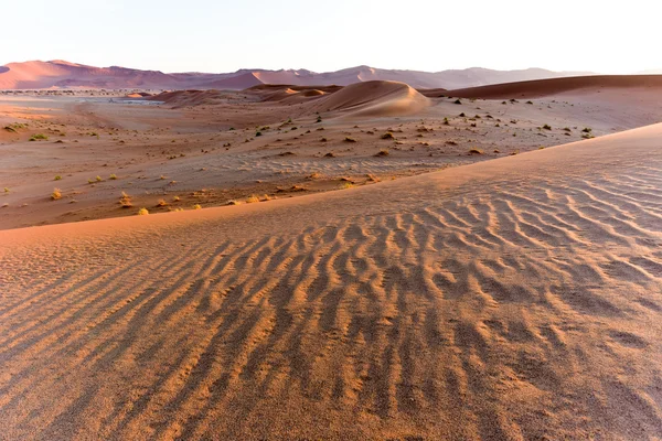 Rejtett Vlei, Namíbia — Stock Fotó