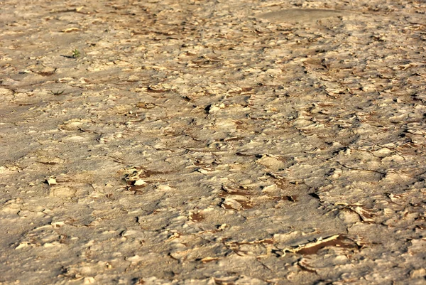 Hidden Vlei, Namibia — Stock Photo, Image