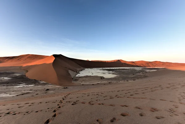 Vlei oculto, Namibia — Foto de Stock