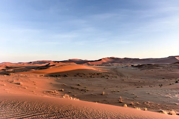 Hidden Vlei, Namibia — Zdjęcie stockowe