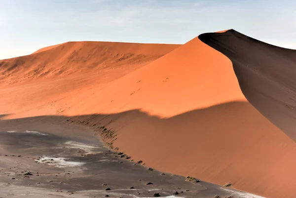 Vlei oculto, Namibia —  Fotos de Stock