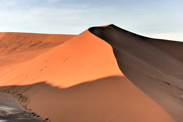 Hidden Vlei, Namibia — Zdjęcie stockowe