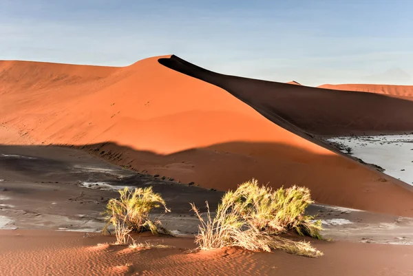 Gizli Vlei, Namibya — Stok fotoğraf