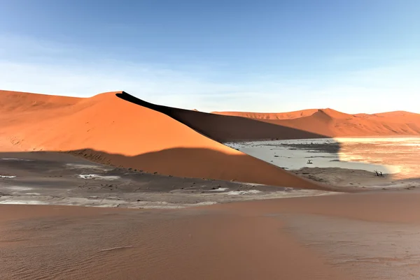 Vlei oculto, Namibia — Foto de Stock