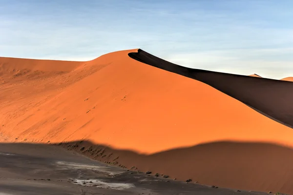 Vlei oculto, Namibia —  Fotos de Stock