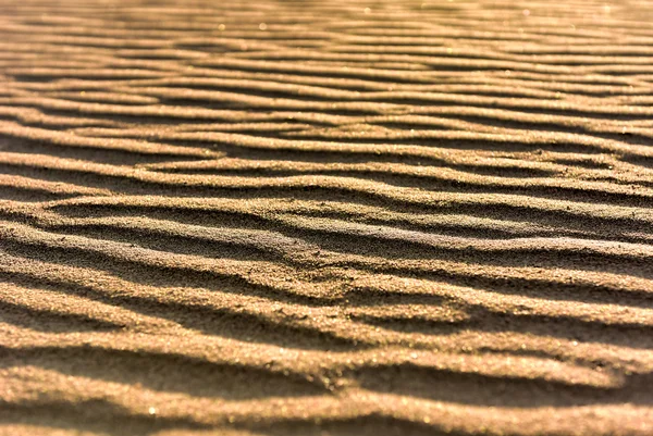 Hidden Vlei, Namibia — Stock Photo, Image