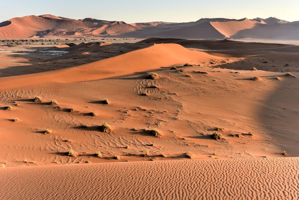 Versteckte Vlei, Namibia — Stockfoto