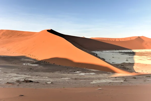 Vlei oculto, Namibia —  Fotos de Stock