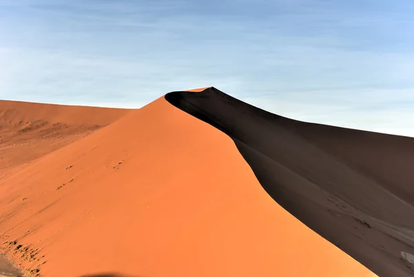 Vlei oculto, Namibia —  Fotos de Stock