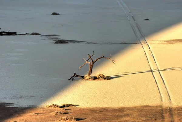 Hidden Vlei, Namibia — Stock Photo, Image