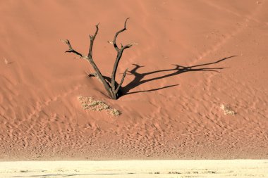 Ölü Vlei, Namibya
