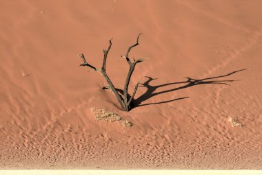 Ölü Vlei, Namibya