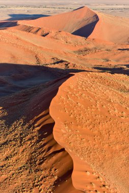 Namib kum deniz - Namibya