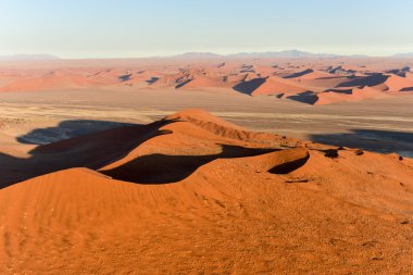 Namib kum deniz - Namibya