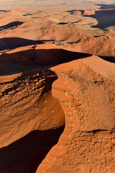 Namib kum deniz - Namibya