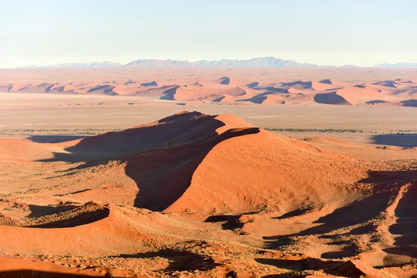 Namib kum deniz - Namibya