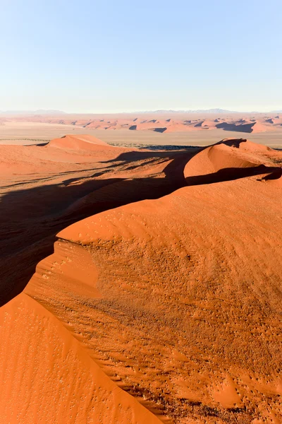 Namib kum deniz - Namibya