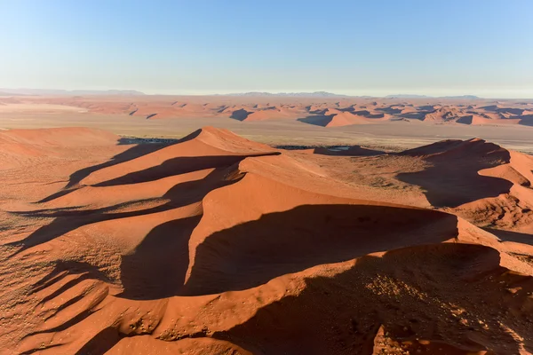 Namib kum deniz - Namibya