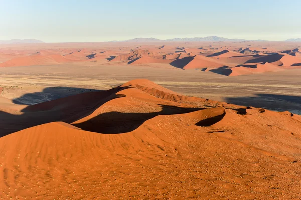 Namib kum deniz - Namibya