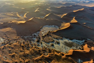 Namib kum deniz - Namibya