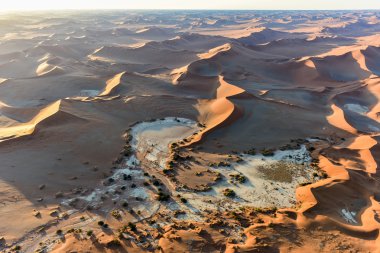 Namib kum deniz - Namibya