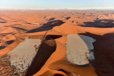 Namib kum deniz - Namibya