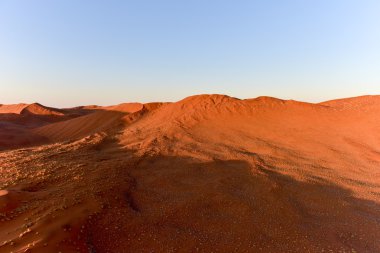 Namib kum deniz - Namibya