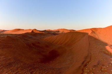 Namib kum deniz - Namibya