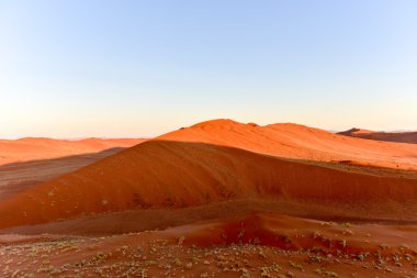 Namib kum deniz - Namibya