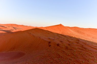 Namib kum deniz - Namibya