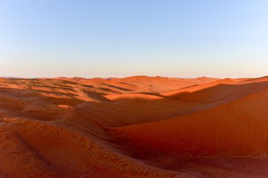Namib kum deniz - Namibya