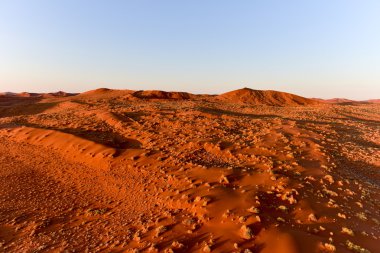 Namib kum deniz - Namibya