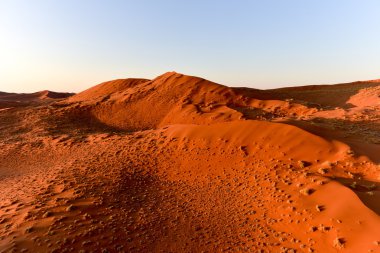 Namib kum deniz - Namibya