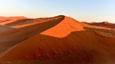 Namib kum deniz - Namibya