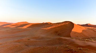Namib kum deniz - Namibya