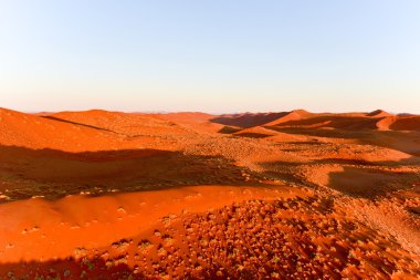 Namib kum deniz - Namibya