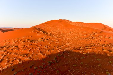 Namib kum deniz - Namibya