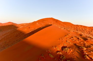 Namib kum deniz - Namibya