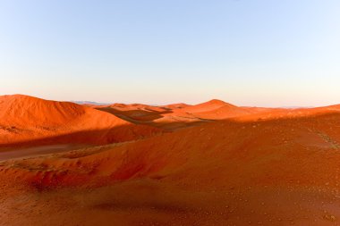 Namib kum deniz - Namibya