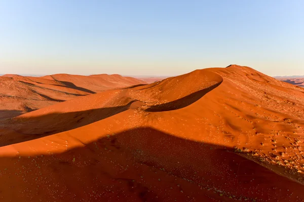 Namib písečného moře - Namibie — Stock fotografie