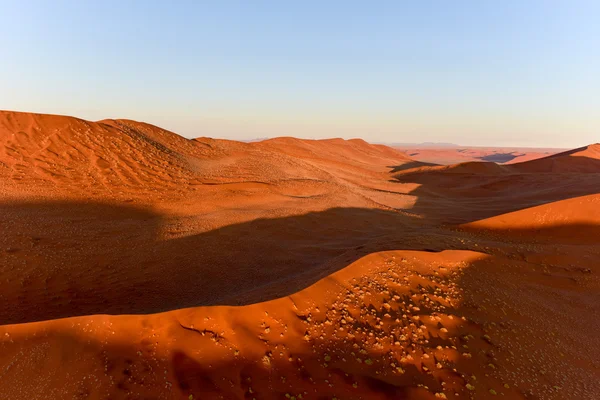 Namib zand zee - Namibië — Stockfoto