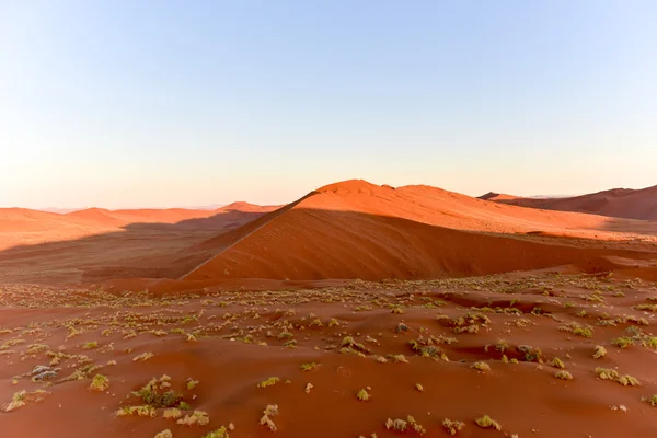 Namib zand zee - Namibië — Stockfoto