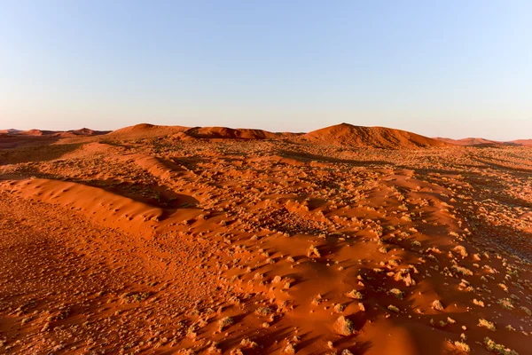 Namib kum deniz - Namibya