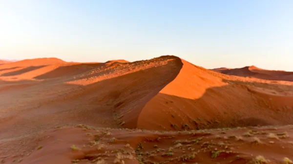 Namib Sand Sea - Namibia — Stockfoto